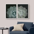 thumbnail image 2 of PixonSign Framed Wall Art Collage Print Gallery Set Spiked Breaker Succulent Duo Botanical Plants Photography Realism Modern Multicolor Warm for Living Room, Bedroom, Office - 12"x16"x2 WHITE, 2 of 6