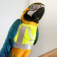 thumbnail image 3 of sunsanly Bird Flight Harness Vest Parrot Suit with Leash Reflective Vest Bird Clothes for Cockatiels Conures Budgies Parrot Flying Training Clothes Leash Set, 3 of 7