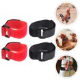 thumbnail image 2 of 4 correas para el cuello de gallo, collares anticanto para aves de corral, 2 of 5