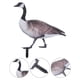 thumbnail image 3 of Estaca de inserción de pato para jardín, estaca de acrílico para pato, decoración para patio, letrero con forma de pato, 3 of 5