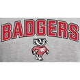 thumbnail image 2 of Men's Ash Wisconsin Badgers Proud Mascot Pullover Hoodie, 2 of 2