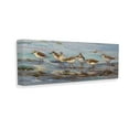 thumbnail image 4 of Stupell Industries Sandpiper Flock on Shore Animals & Insects Painting Gallery Wrapped Canvas Art Print Wall Art, 40 x 17, 4 of 8