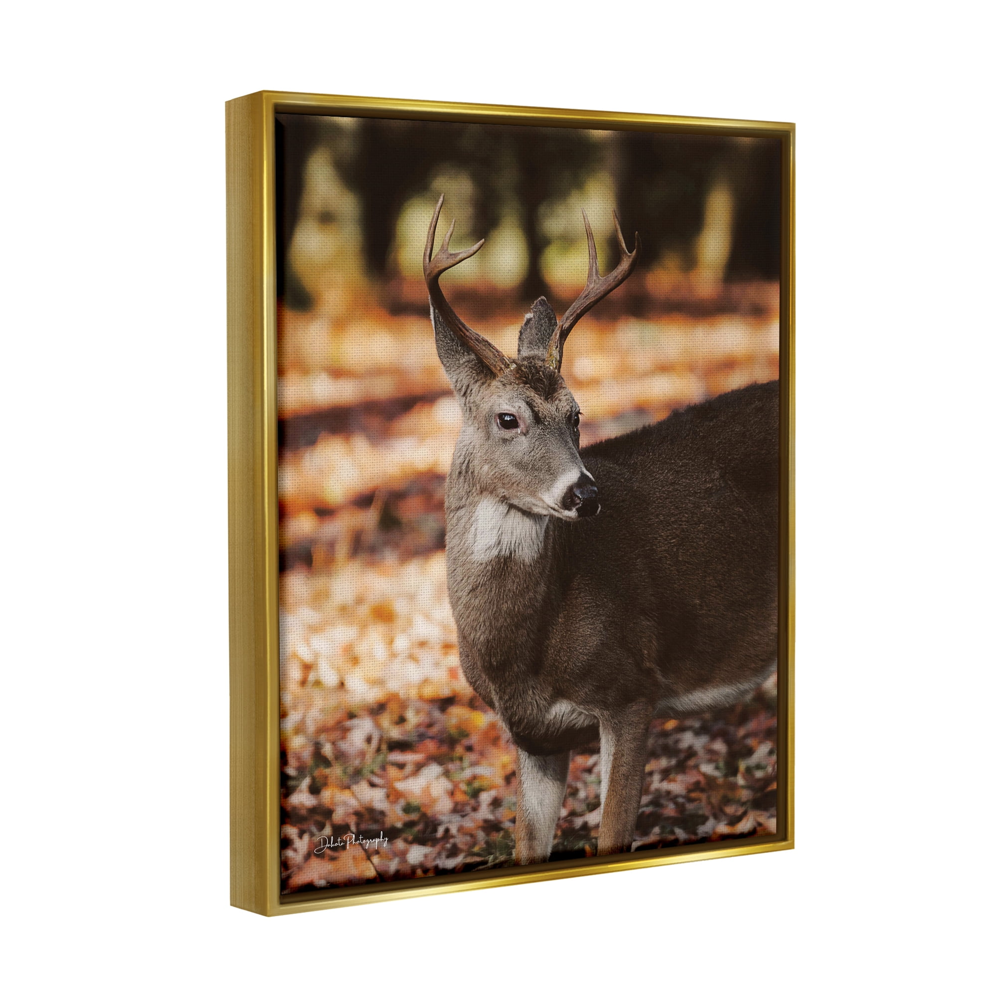 Stupell Industries Deer in Fall Foliage Animals & Insects Photography Gold Floater Framed Art Print Wall Art, 17 x 21