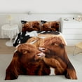 thumbnail image 2 of Castle Fairy Teens Highland Bull 2pcs Bedding Comforter Set,Rustic Animal Twin Comforter Sets,Cow Print Breathable Bedding Set,Ultra Soft Home Decor, 2 of 8