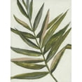 thumbnail image 2 of Goldberger, Jennifer 19x24 Gold Ornate Wood Framed with Double Matting Museum Art Print Titled - Pastel Frond II, 2 of 4