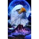 thumbnail image 1 of Juego de pintura de diamante 5D DIY para niños y adultos de 30x40 cm: águila bajo la luna, manualidades de bordado de diamantes completos, juego de pintura de diamantes de imitación de cristal en lien, 1 of 5