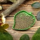 thumbnail image 2 of Plato en forma de hoja, cuenco de agua para reptiles, para beber y comer, tortuga, maíz, serpiente, mascota gateadora (1 pieza, verde) ER, 2 of 5