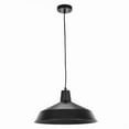 thumbnail image 1 of 1 Light Barny Pendant - Black, 1 of 1