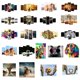 thumbnail image 2 of Cuadros decorativos Colco Tema Animal Multi 20x20cm, 2 of 3