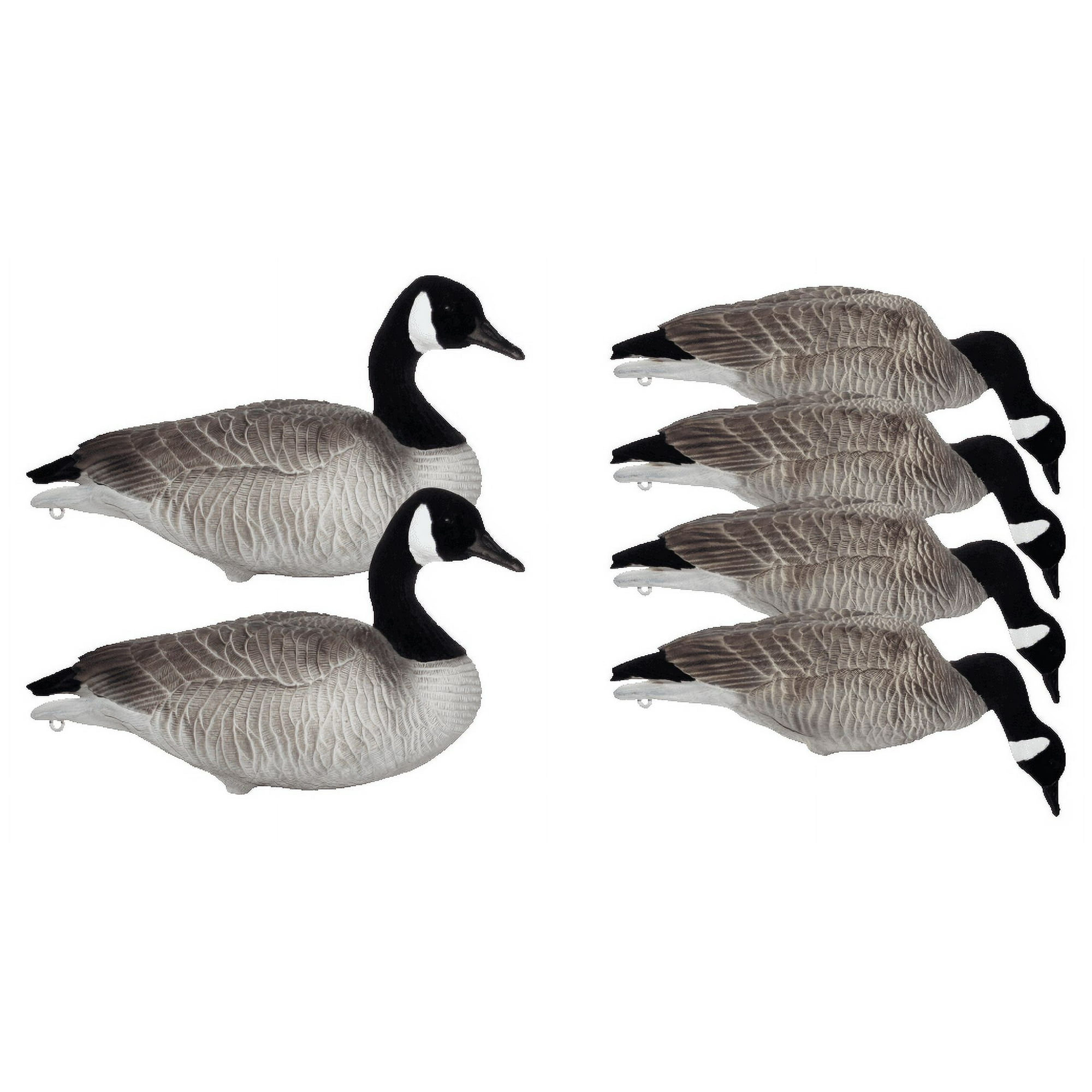 Canada goose quebec xl discount
