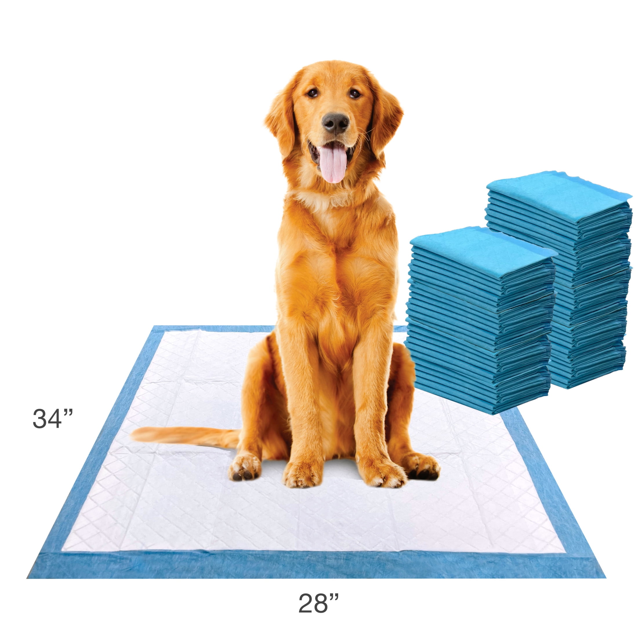 Four Paws Wee Wee Superior Potty Training Dog & Puppy Pads, Pet Pee Pads, X-Large 75 Count