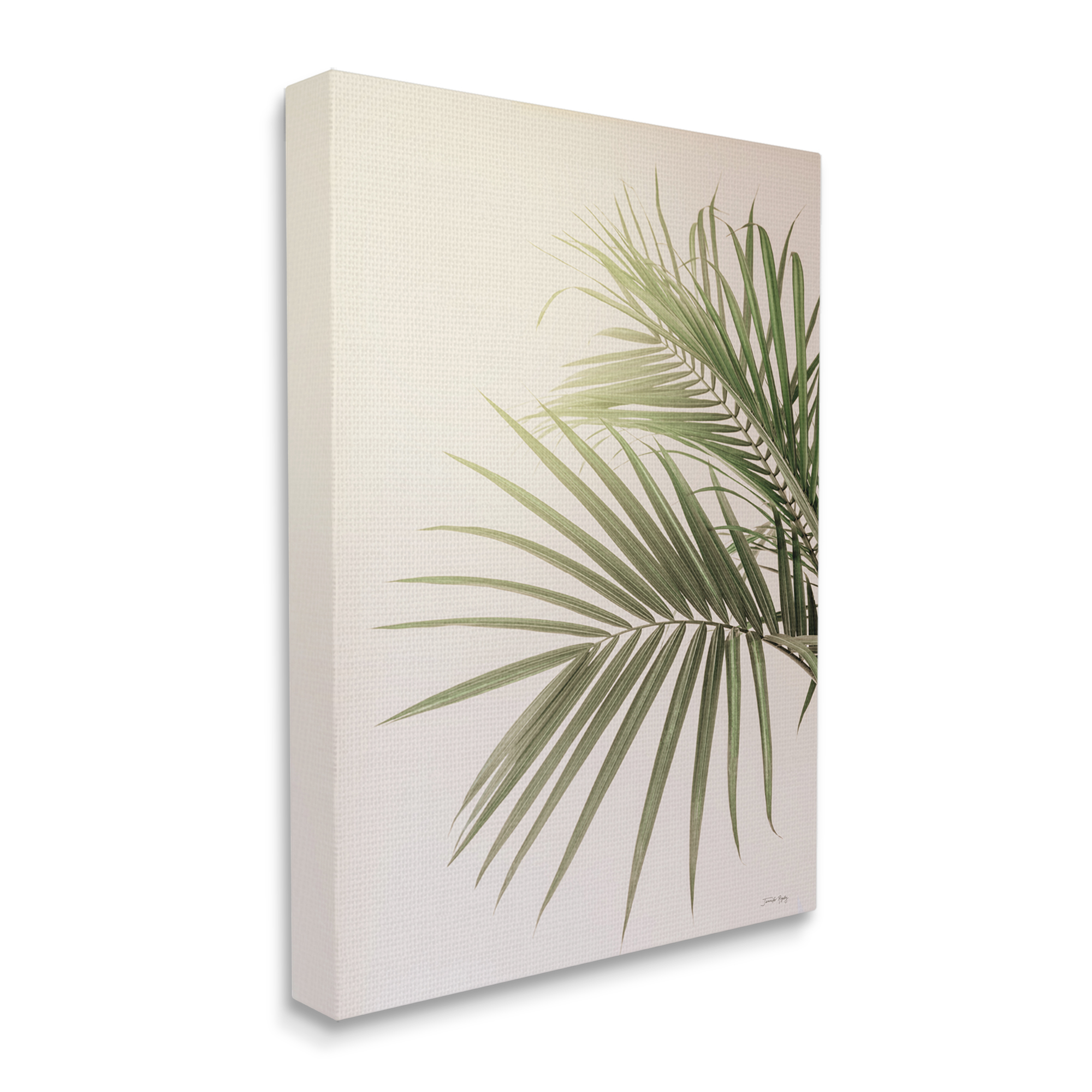 Stupell Industries Minimal Palm Leaves Sunlit Tropical House Plant Photograph Gallery Wrapped Canvas Print Wall Art, Design by Jennifer Rigsby