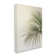 thumbnail image 3 of Stupell Industries Minimal Palm Leaves Sunlit Tropical House Plant Photograph Gallery Wrapped Canvas Print Wall Art, Design by Jennifer Rigsby, 3 of 7