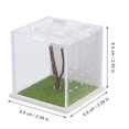 thumbnail image 2 of BESTYASH Transparent Jumping Spider Cage Acrylic Insect Habitat Box with Breathable Holes, 2 of 6