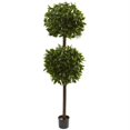 thumbnail image 1 of 6&rsquo; Sweet Bay Double Ball Topiary, 1 of 1