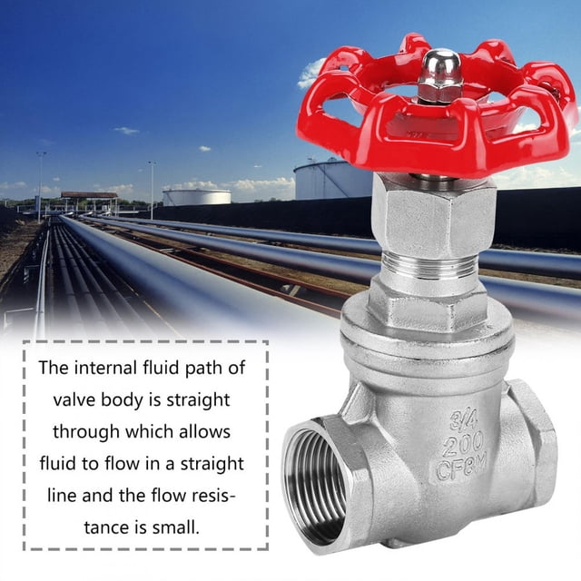 M Buder Válvula de Compuerta de Acero Inoxidable DN20 BSPP G3/4 (11 cm / 0.4 kg)