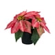 thumbnail image 3 of Planta de Pascua artificial navideña Plantas artificiales en maceta Plantas artificiales Estilo C, 3 of 9