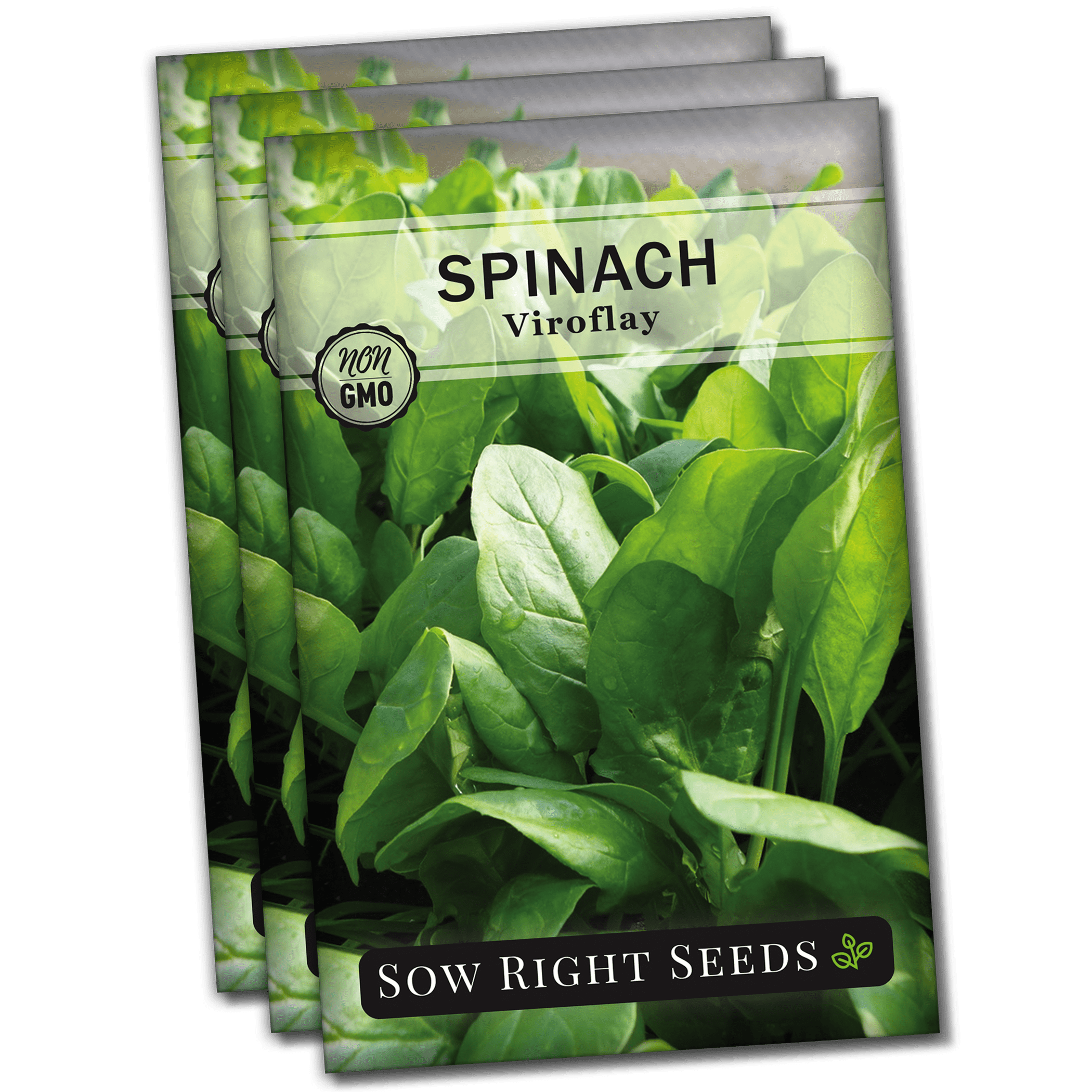 Viroflay Spinach Seeds Non GMO Heirloom Varieties for your Home