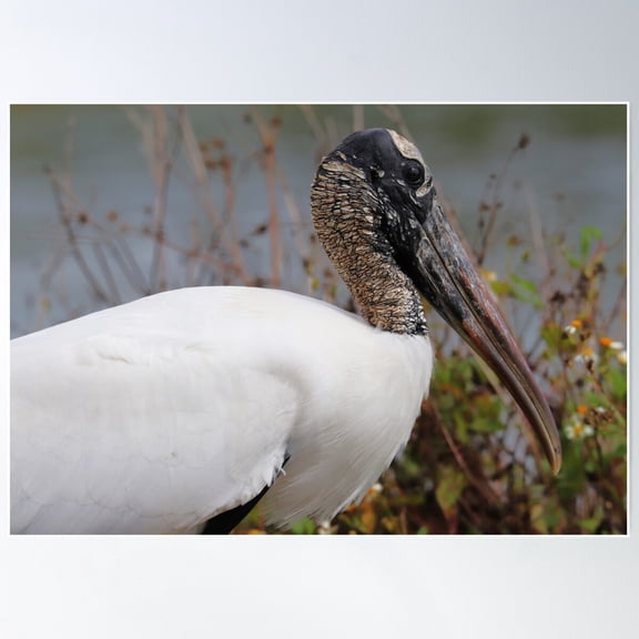 Wood Stork Poster Wall Art, Modern Wall Decor For Living Room Bedroom, 8x12 UNFRAMED