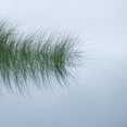 thumbnail image 2 of Art.com Hebridean Haiku Photographic Print by Doug Chinnery, 24" x 24", 2 of 4