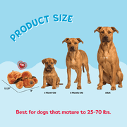 Original Snuggle Puppy Heartbeat Stuffed Toy for Dogs. Pet Anxiety Relief and Calming Aid, Comfort Toy for Behavioral Training in Brown