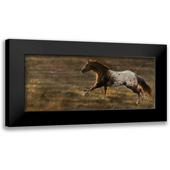 Harrison, Lesley 14x8 Black Modern Framed Museum Art Print Titled - Spots with Spirit II
