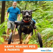 Walkin' Wheels Dog Wheelchair - Vet Approved - Med to Large Dogs 50 - 69 lbs