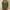 125#Army Green, variant on Women's V Neck 3/4 Sleeve T Shirts Casual Basic Summer Tees Shirts Loose Fit Tunic Tops