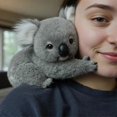 thumbnail image 5 of Ultra-Soft Koala Plush Toy, Koalas Stuffed Animal Toy Cozy Comfort, Endless Snuggles, Comfort Interactive Toy New Arrival, 5 of 5