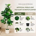 thumbnail image 5 of ROMSWI Artificial Fiddle Leaf Fig Tree 6FT Tall with White Planter, Natural Trunk Realistic Leaves Lifelike Faux Floor Plant For Home House Office Decor Indoor, 5 of 9
