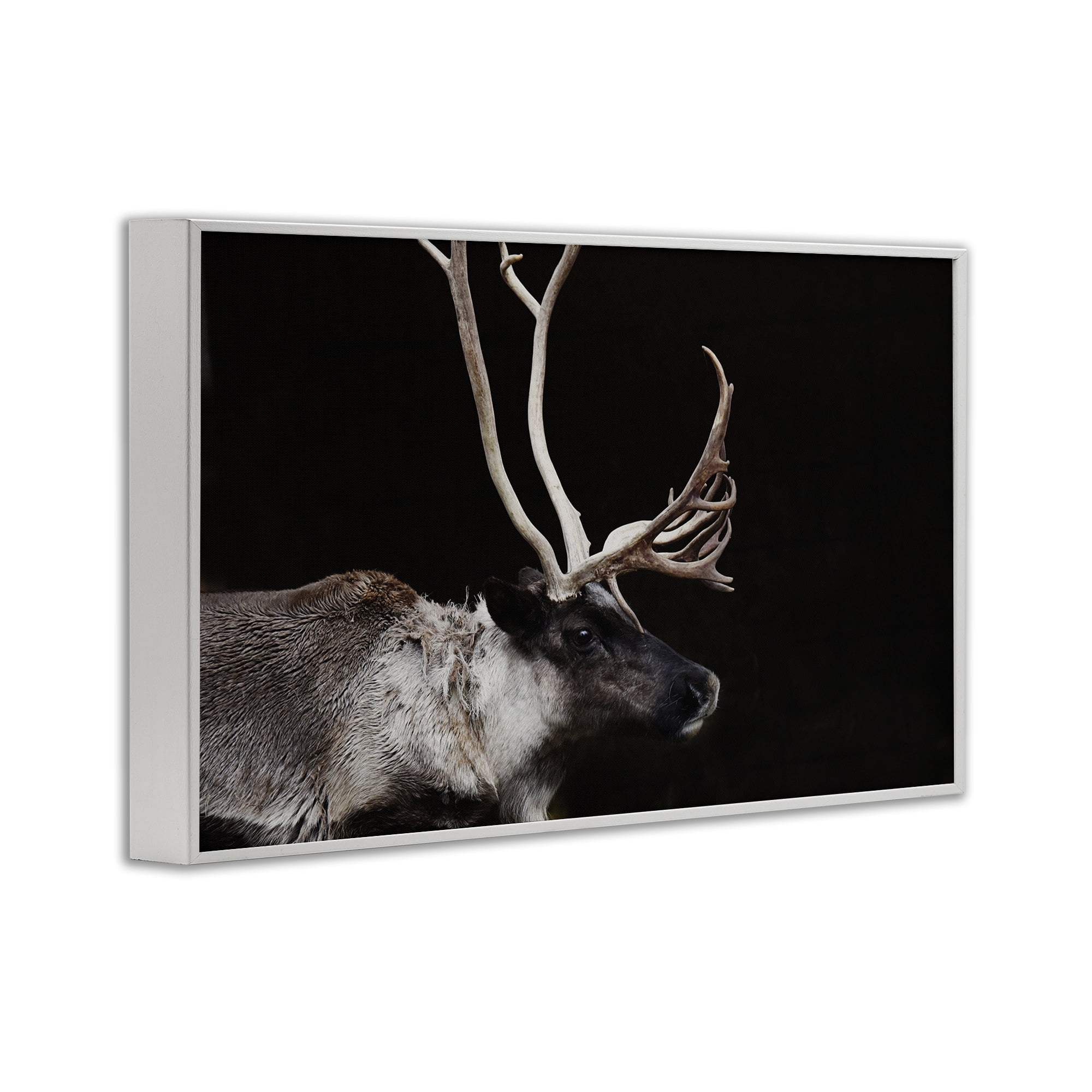 Stupell Industries Dark Reindeer at Night White Framed Giclee Art, design by Amy Carroll