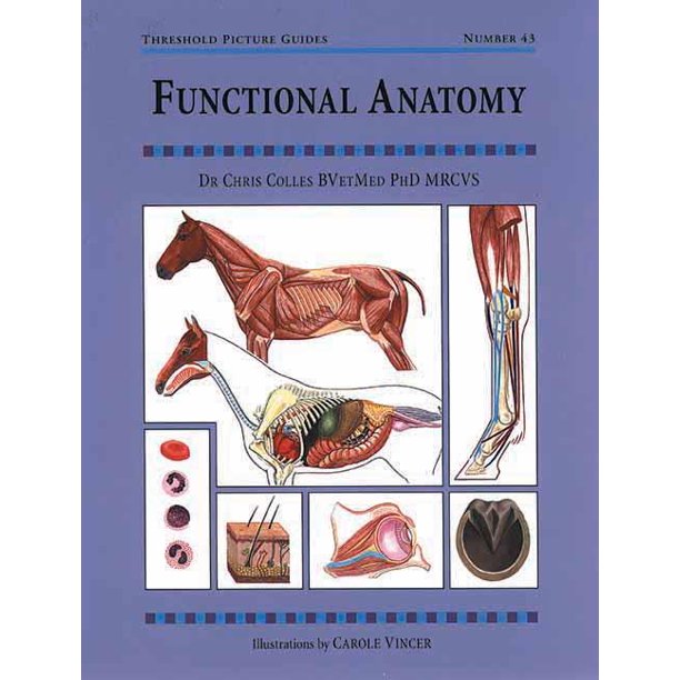 Threshold Picture Guides Functional Anatomy Threshold Picture Guide