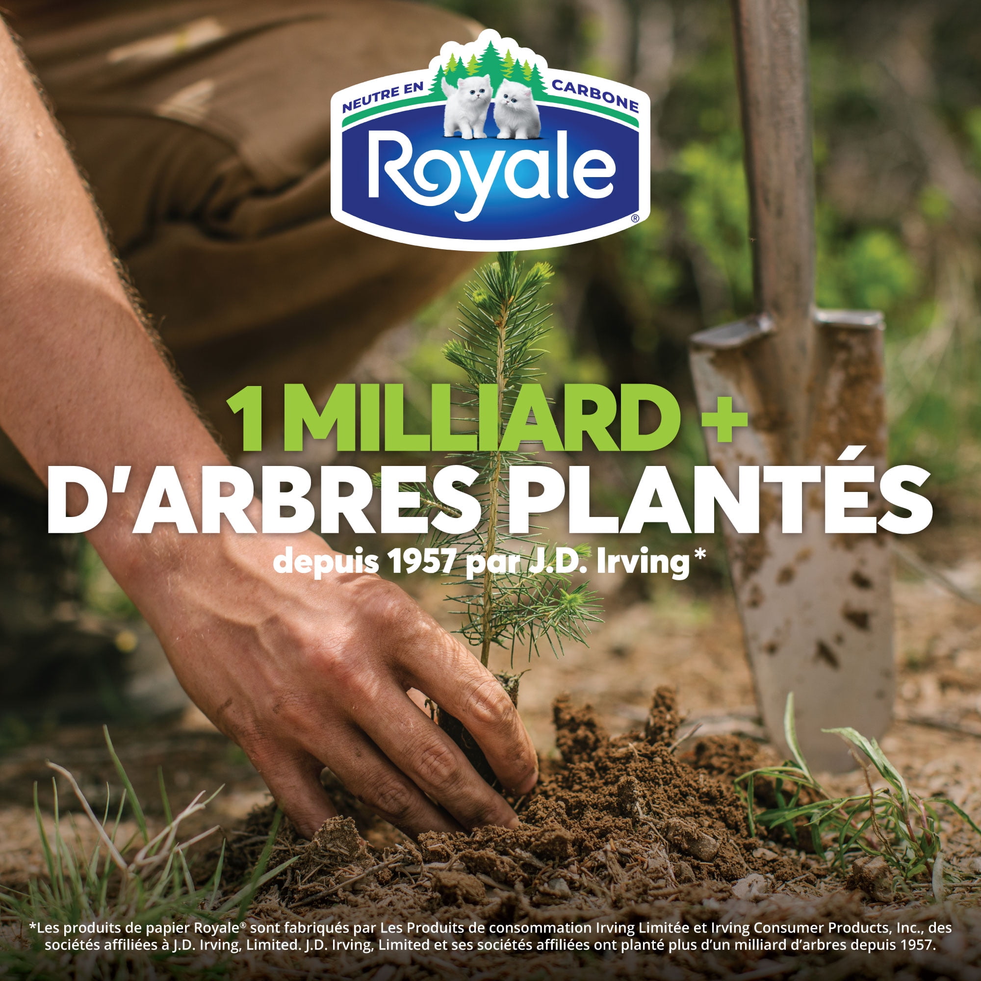 Royale Original, 2 Ply Facial Tissue, 18 Flat Boxes, 126 Tissues per Box, 2268 tissues per pack