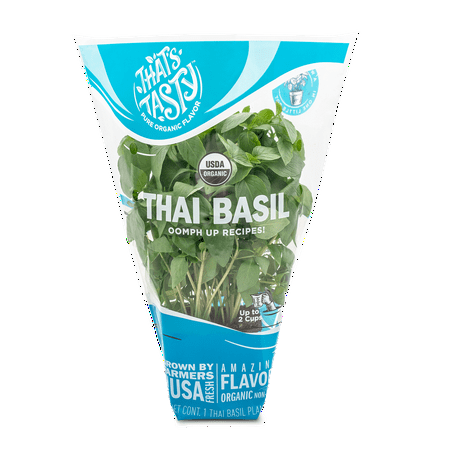 Thai Basil .5oz