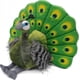 thumbnail image 1 of Plush Toys, Plush Peacock Stuffed Animals Plush Toys Children's Birthday Gift 13 Inches (green), 1 of 3