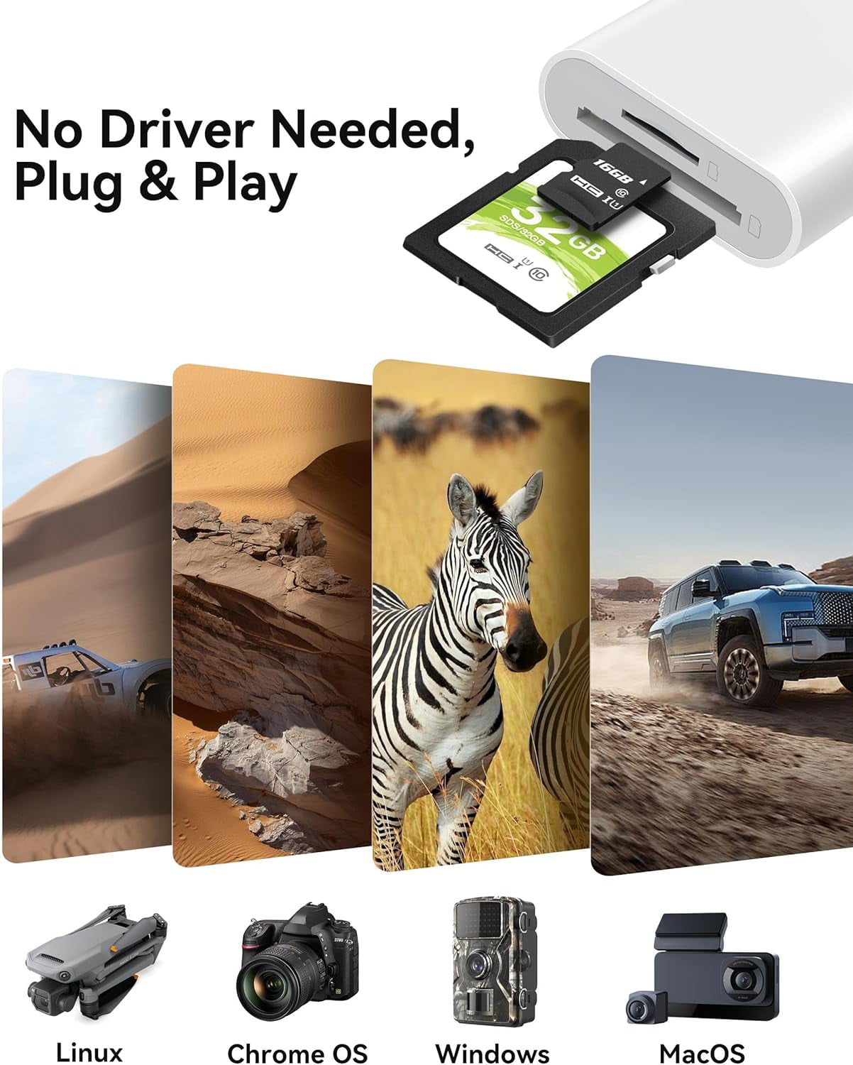 SD Card Reader For IPhone IPad, Lightning & USB-C Dual Connector Memory SD Card Adapter, Support SD/Micro SD Cards, High-Speed Trail Camera Viewer, Plug And Play