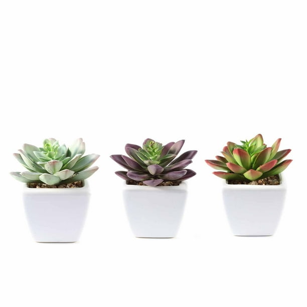 Efavormart Set Of 3 4 Assorted Faux Succulent Mini Green Plant In White Ceramic Pot Walmart Com Walmart Com