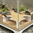 thumbnail image 5 of SouMaox Aquarium Tunnel Decor, Fish Cave Viewing Hideout with Two Holes, Shrimp Hiding Tube for Aquascaping, Fish Ornament, 1.57" x 4.72" x 4.72" White, 5 of 6