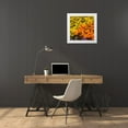 thumbnail image 3 of Grayscale 20x20 White Modern Wood Framed Museum Art Print Titled - Chrysanthemums II, 3 of 4