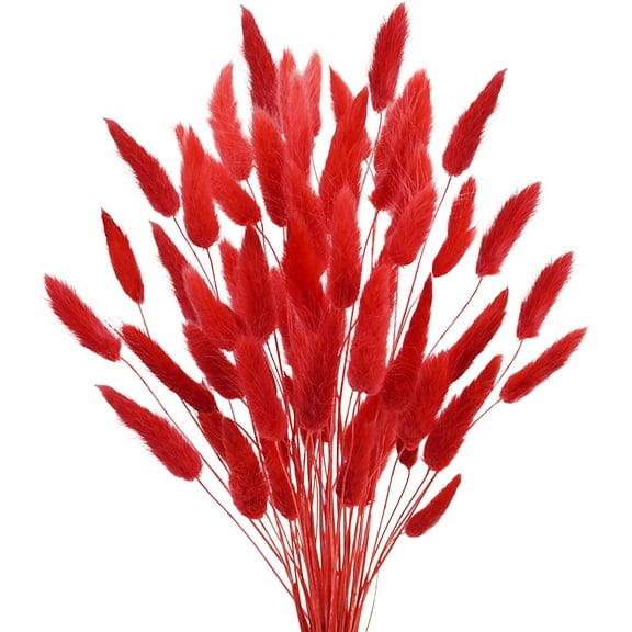 17’’ Natural Bunny Tails Dried Flowers, 50 Pcs Dried Lagurus Ovatus, Dried Pink Pampas Grass Decor for Farmhouse Flower Arrangements Wedding Home Boho Party Decorations A