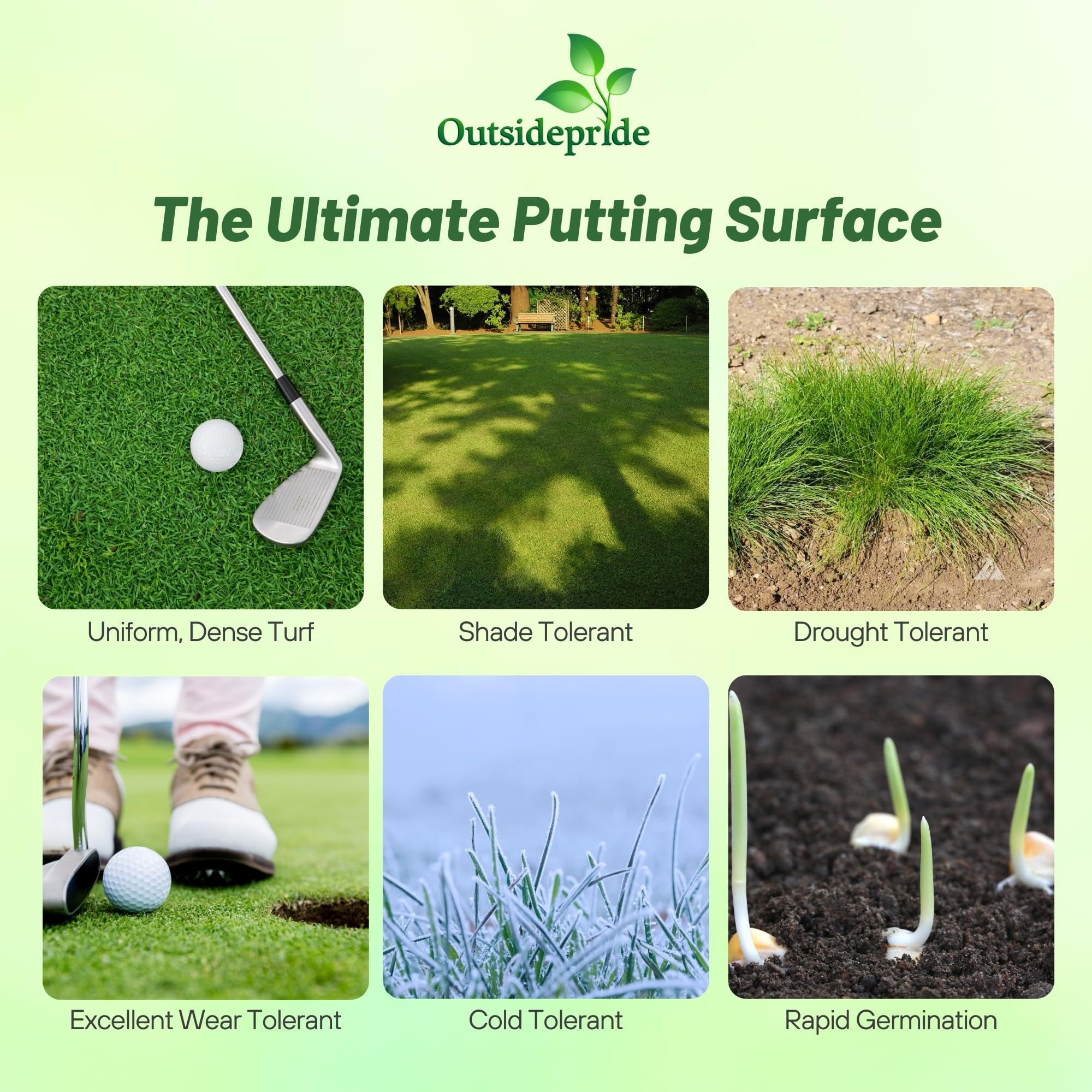 Outsidepride 5 lb. Perennial Shade Tolerant Creeping Bluegrass for Golf Courses & Home Putting Greens
