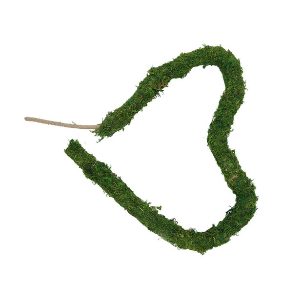 Natural Moss Pole, Prompt Plant Growth Moss Plant Support Pole Safe Easy To Insert For Potted Plant