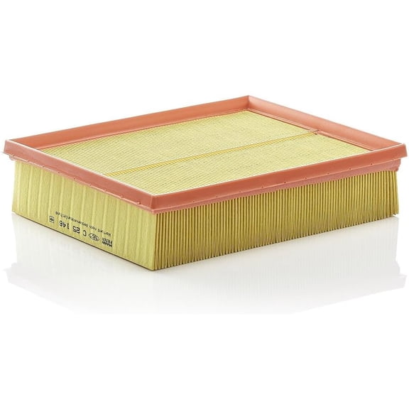 MANN-FILTER C 25 146 - Engine Air Filter