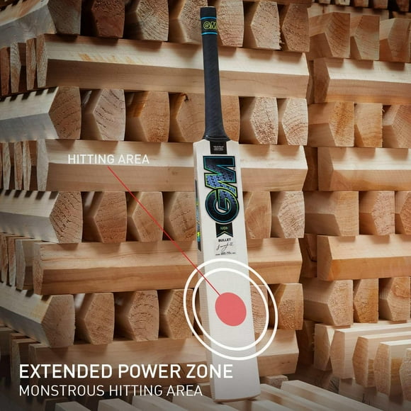 Gm Aion Bullet English Willow Cricket Bat , Size 3 | For Beginners & Amateur Players , Ideal For Leather Cricket Balls