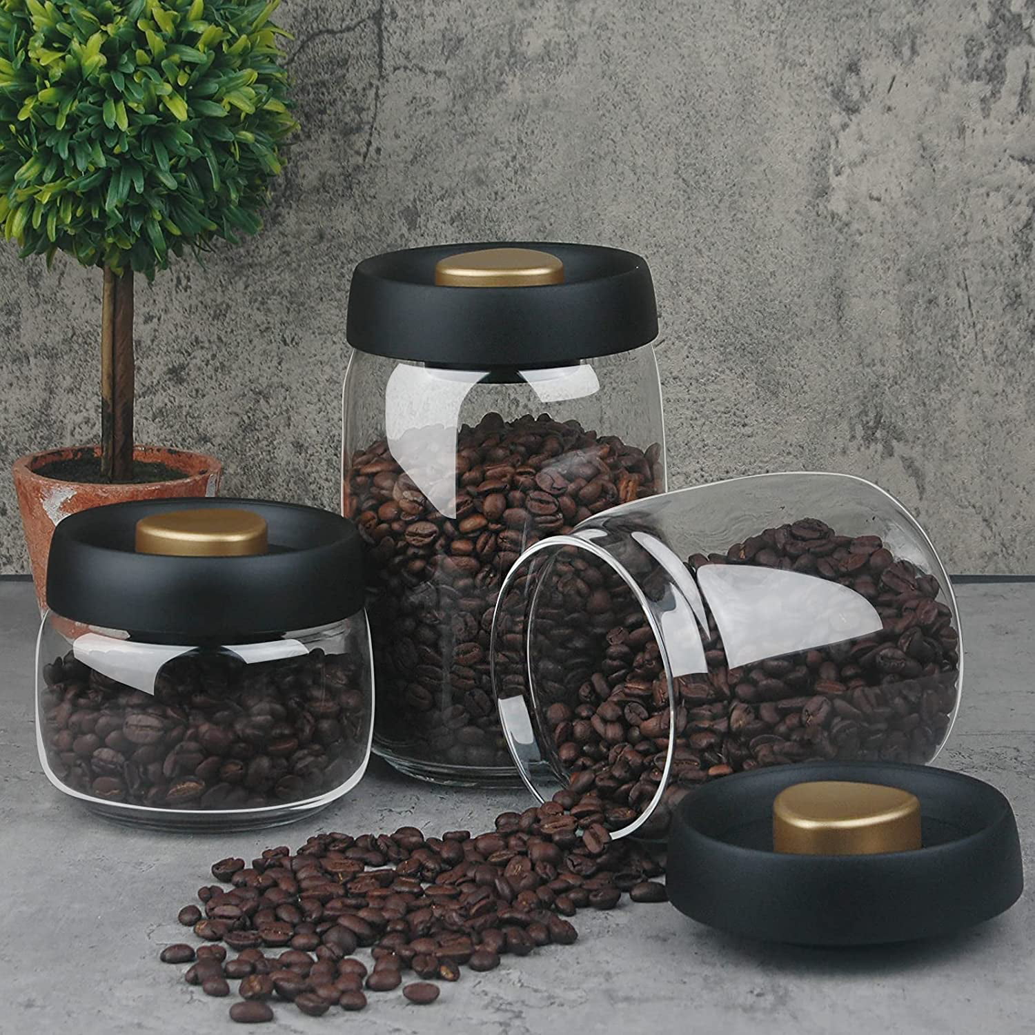 Large (5lb) Airtight Coffee & Bread Storage Container – TIGHTVAC