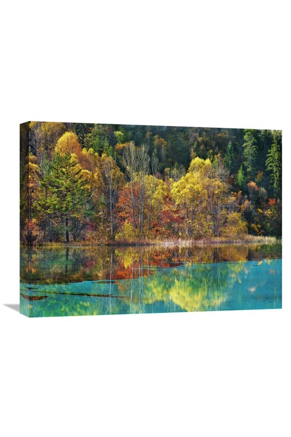 Frank Krahmer 'Forest in autumn colours, Sichuan, China' Canvas Wall Art