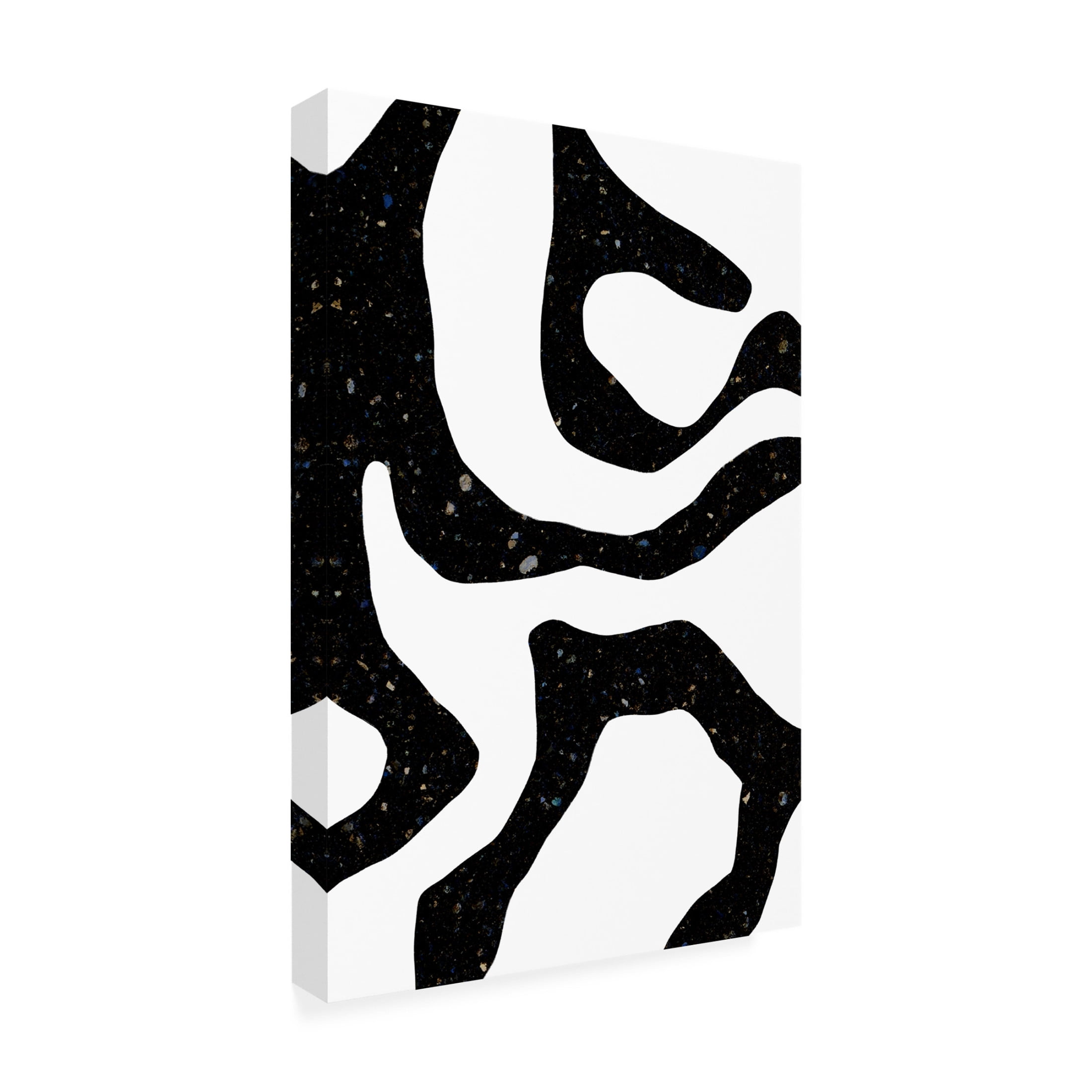 Trademark Fine Art uplusmestudio Black Gems Canvas Wall Art