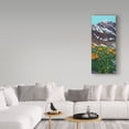 thumbnail image 3 of Trademark Fine Art 'Torreys Peak in Spring' Canvas Art by James W. Johnson, 3 of 3