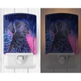 thumbnail image 2 of Caroline's Treasures SS8354CNL Starry Night Curly Coated Retriever Ceramic Night Light, 6x4x3", multicolor, 2 of 2