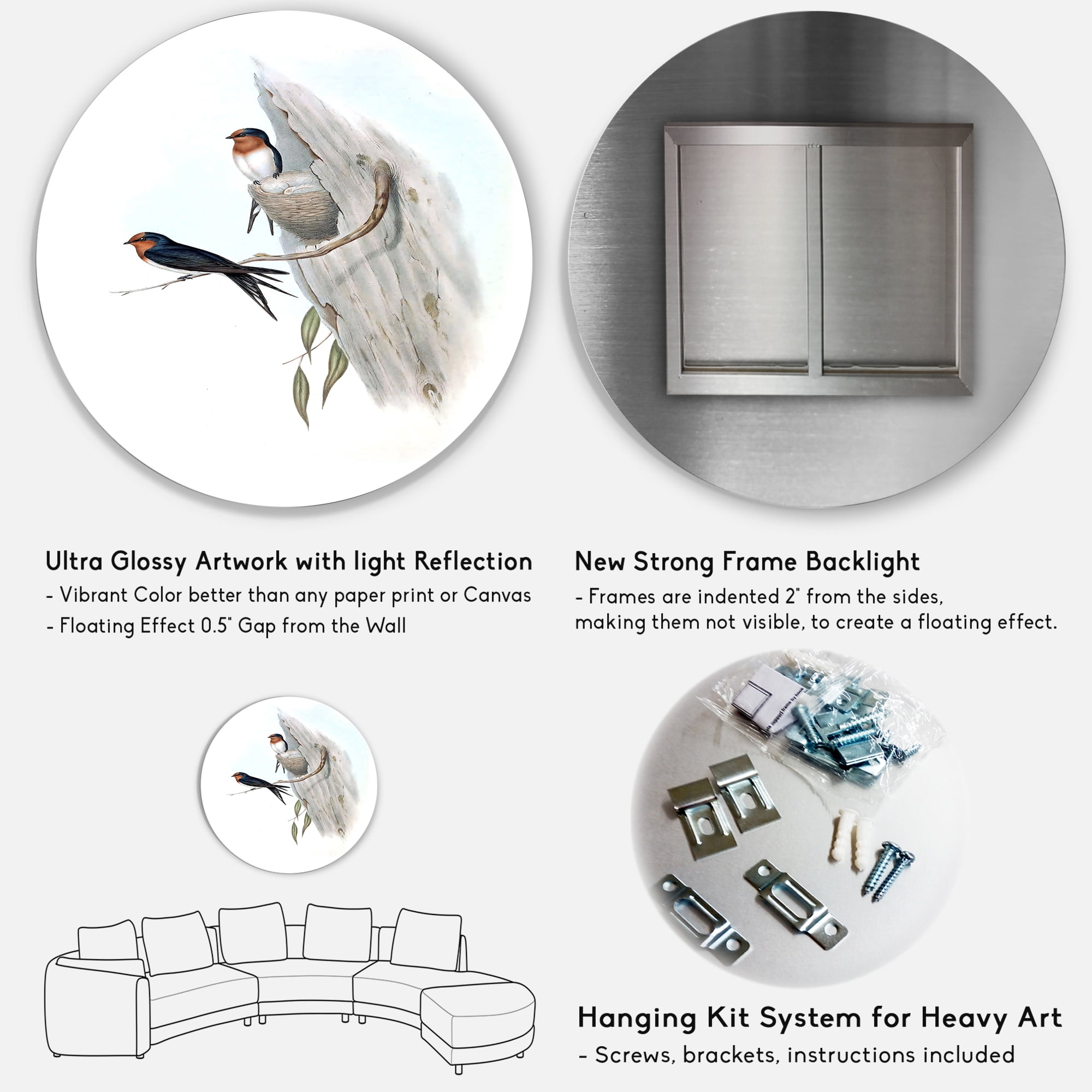 Designart 'Ancient Australian Bird Illustrations II' Traditional Circle Metal Wall Art 11x11 - Disc of 11
